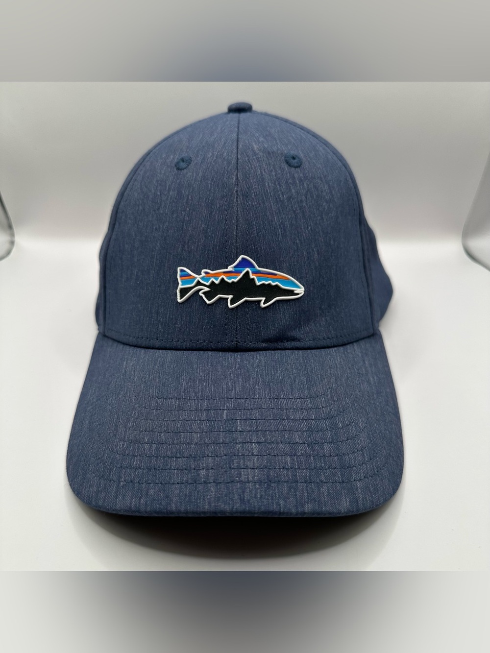 PATAGONIA Blue Fitz Roy Trout Snapback Hat